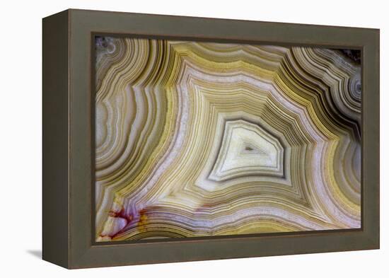 Banded Agate, Sammamish, Washington-Darrell Gulin-Framed Premier Image Canvas