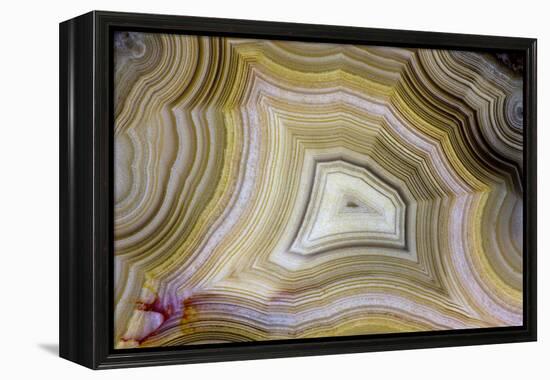 Banded Agate, Sammamish, Washington-Darrell Gulin-Framed Premier Image Canvas