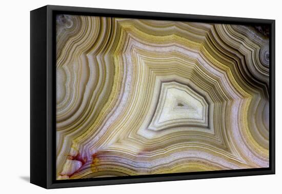 Banded Agate, Sammamish, Washington-Darrell Gulin-Framed Premier Image Canvas