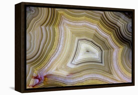 Banded Agate, Sammamish, Washington-Darrell Gulin-Framed Premier Image Canvas