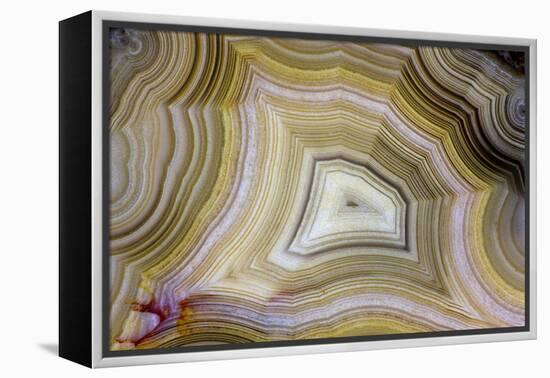 Banded Agate, Sammamish, Washington-Darrell Gulin-Framed Premier Image Canvas