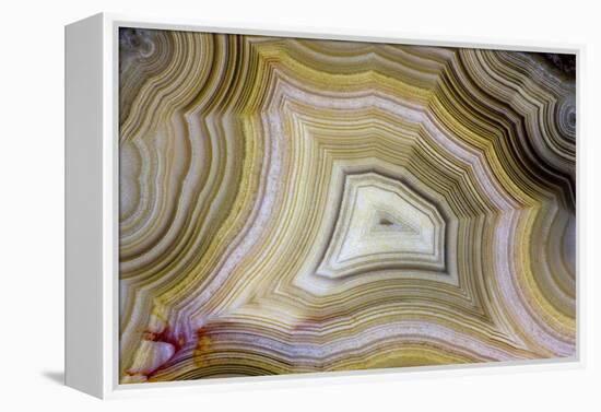 Banded Agate, Sammamish, Washington-Darrell Gulin-Framed Premier Image Canvas