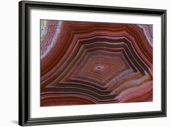 Banded Agate, Sammamish, Washington-Darrell Gulin-Framed Photographic Print