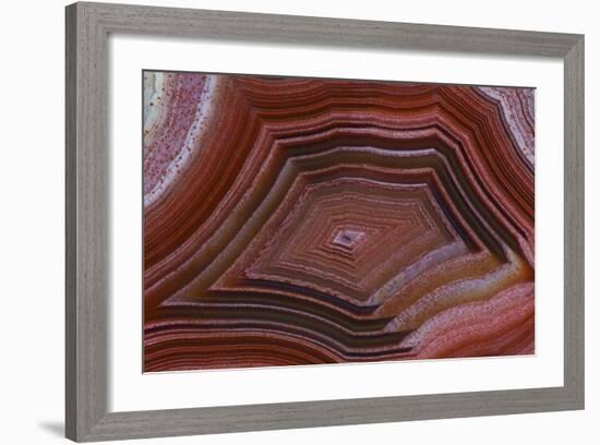 Banded Agate, Sammamish, Washington-Darrell Gulin-Framed Photographic Print