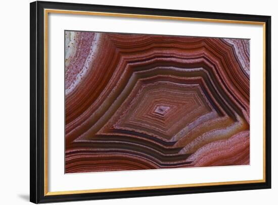 Banded Agate, Sammamish, Washington-Darrell Gulin-Framed Photographic Print