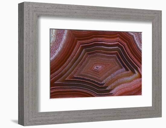 Banded Agate, Sammamish, Washington-Darrell Gulin-Framed Photographic Print