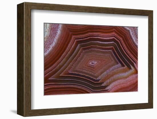 Banded Agate, Sammamish, Washington-Darrell Gulin-Framed Photographic Print