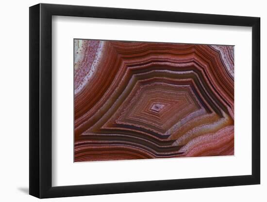 Banded Agate, Sammamish, Washington-Darrell Gulin-Framed Photographic Print