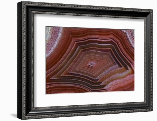 Banded Agate, Sammamish, Washington-Darrell Gulin-Framed Photographic Print