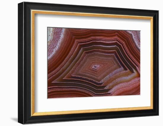 Banded Agate, Sammamish, Washington-Darrell Gulin-Framed Photographic Print