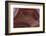 Banded Agate, Sammamish, Washington-Darrell Gulin-Framed Photographic Print