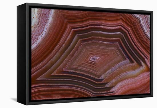 Banded Agate, Sammamish, Washington-Darrell Gulin-Framed Premier Image Canvas