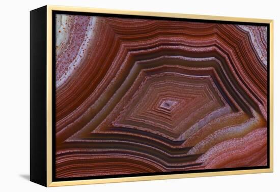 Banded Agate, Sammamish, Washington-Darrell Gulin-Framed Premier Image Canvas