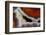 Banded Agate, Sammamish, Washington-Darrell Gulin-Framed Photographic Print