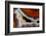 Banded Agate, Sammamish, Washington-Darrell Gulin-Framed Photographic Print