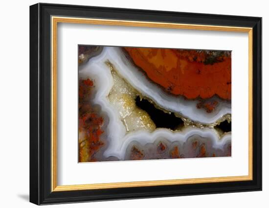 Banded Agate, Sammamish, Washington-Darrell Gulin-Framed Photographic Print