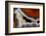 Banded Agate, Sammamish, Washington-Darrell Gulin-Framed Photographic Print