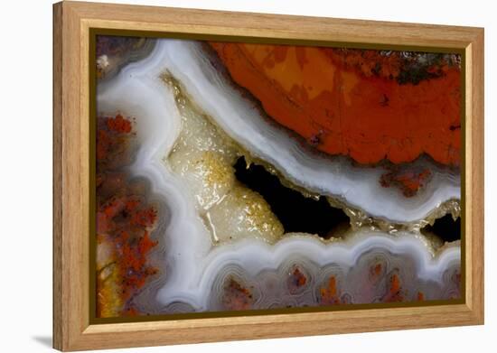 Banded Agate, Sammamish, Washington-Darrell Gulin-Framed Premier Image Canvas