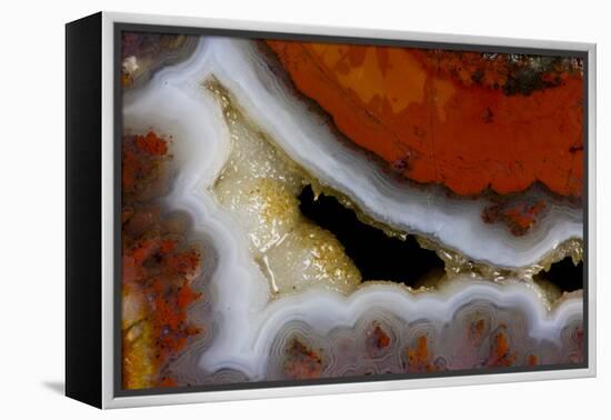 Banded Agate, Sammamish, Washington-Darrell Gulin-Framed Premier Image Canvas