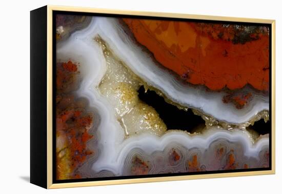 Banded Agate, Sammamish, Washington-Darrell Gulin-Framed Premier Image Canvas