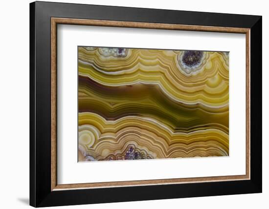 Banded Agate, Sammamish, Washington-Darrell Gulin-Framed Photographic Print