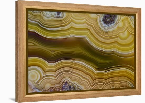 Banded Agate, Sammamish, Washington-Darrell Gulin-Framed Premier Image Canvas