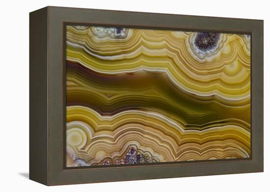 Banded Agate, Sammamish, Washington-Darrell Gulin-Framed Premier Image Canvas