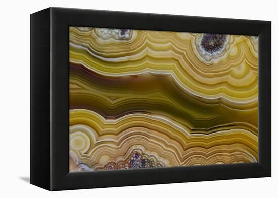 Banded Agate, Sammamish, Washington-Darrell Gulin-Framed Premier Image Canvas