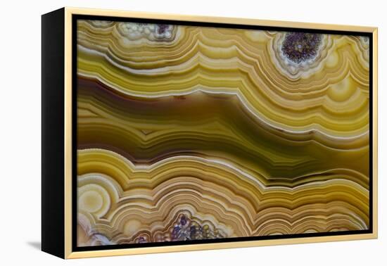 Banded Agate, Sammamish, Washington-Darrell Gulin-Framed Premier Image Canvas