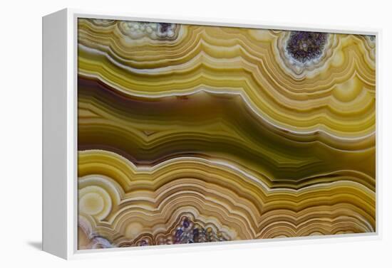 Banded Agate, Sammamish, Washington-Darrell Gulin-Framed Premier Image Canvas