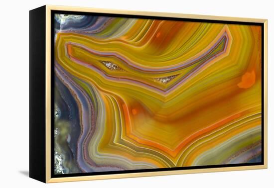 Banded Agate, Sammamish, Washington-Darrell Gulin-Framed Premier Image Canvas