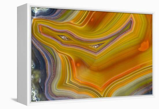 Banded Agate, Sammamish, Washington-Darrell Gulin-Framed Premier Image Canvas