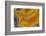 Banded Agate, Sammamish, Washington-Darrell Gulin-Framed Photographic Print