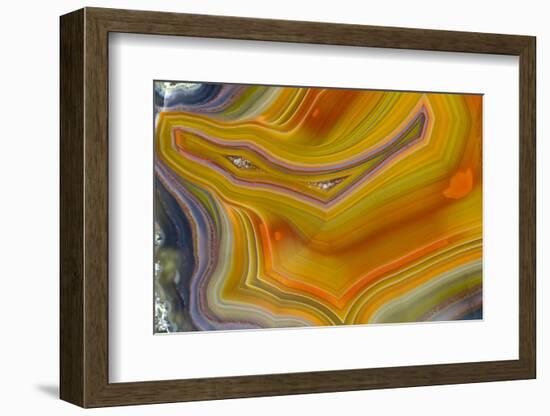 Banded Agate, Sammamish, Washington-Darrell Gulin-Framed Photographic Print