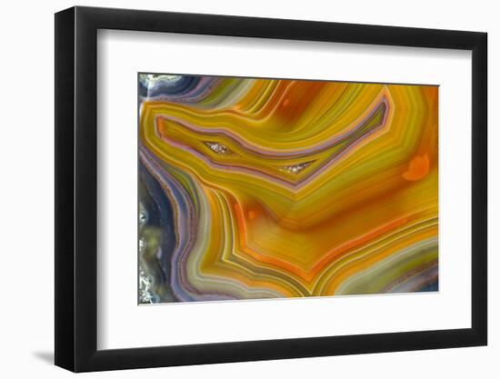 Banded Agate, Sammamish, Washington-Darrell Gulin-Framed Photographic Print