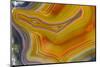 Banded Agate, Sammamish, Washington-Darrell Gulin-Mounted Photographic Print