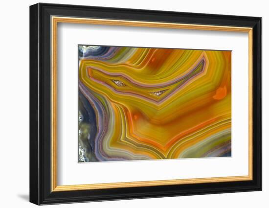 Banded Agate, Sammamish, Washington-Darrell Gulin-Framed Photographic Print