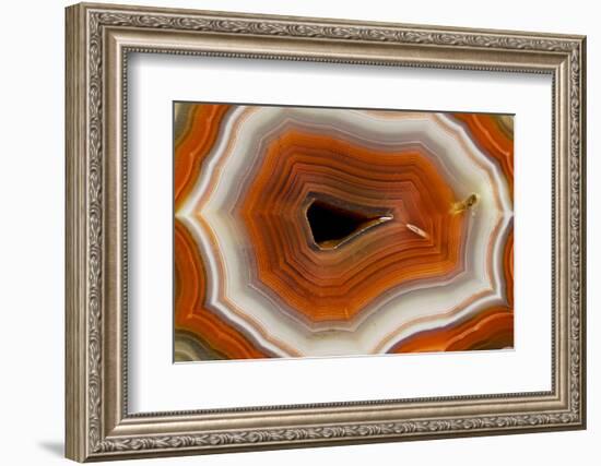 Banded Agate, Sammamish, Washington-Darrell Gulin-Framed Photographic Print