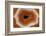 Banded Agate, Sammamish, Washington-Darrell Gulin-Framed Photographic Print