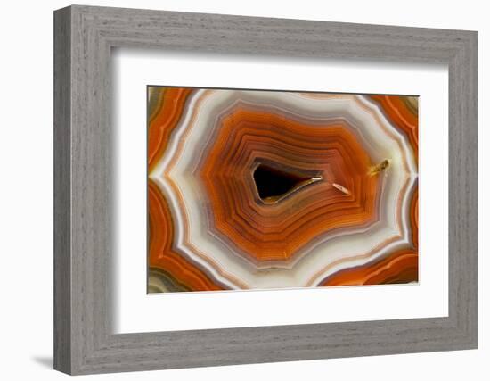 Banded Agate, Sammamish, Washington-Darrell Gulin-Framed Photographic Print