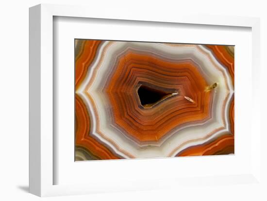 Banded Agate, Sammamish, Washington-Darrell Gulin-Framed Photographic Print