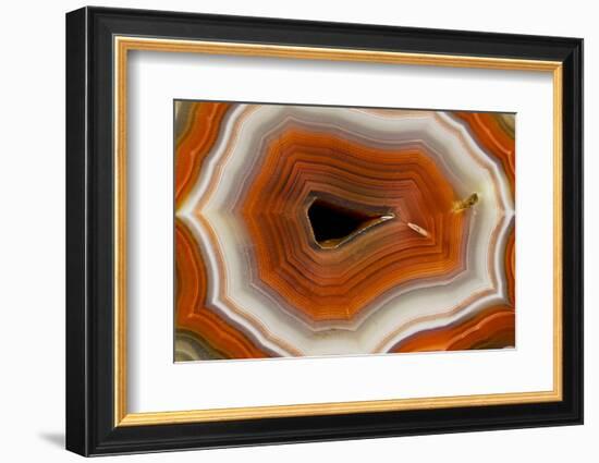 Banded Agate, Sammamish, Washington-Darrell Gulin-Framed Photographic Print