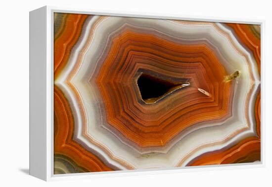 Banded Agate, Sammamish, Washington-Darrell Gulin-Framed Premier Image Canvas