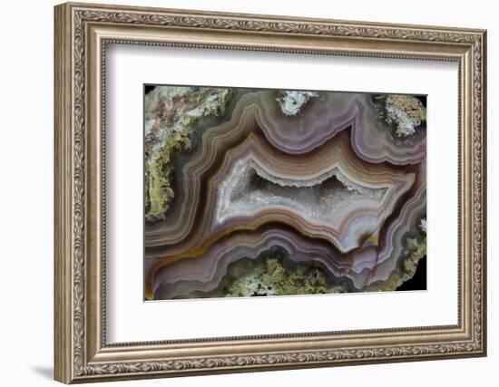 Banded Agate, Sammamish, Washington-Darrell Gulin-Framed Photographic Print