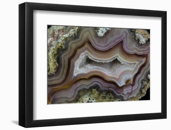 Banded Agate, Sammamish, Washington-Darrell Gulin-Framed Photographic Print