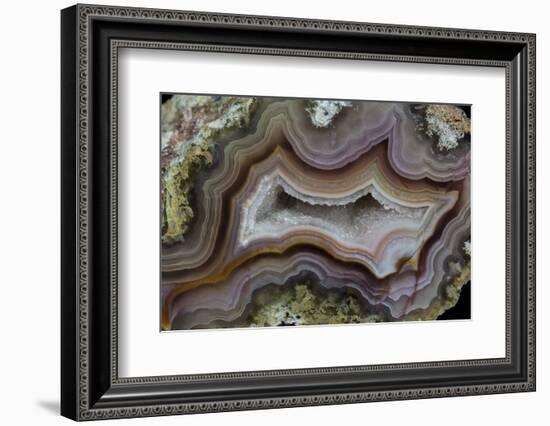 Banded Agate, Sammamish, Washington-Darrell Gulin-Framed Photographic Print