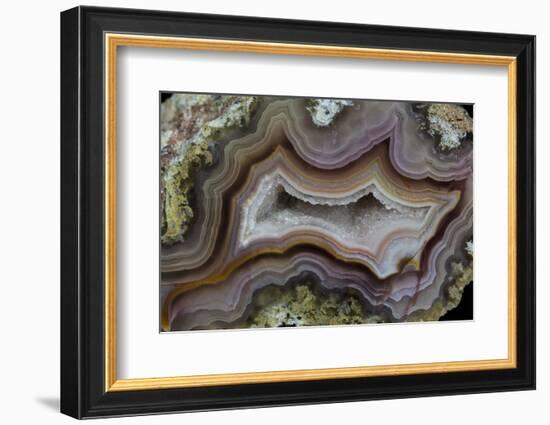 Banded Agate, Sammamish, Washington-Darrell Gulin-Framed Photographic Print