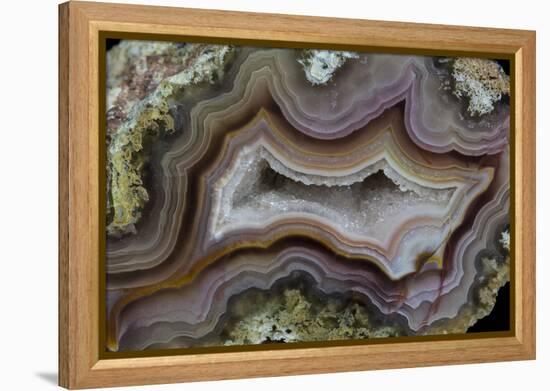 Banded Agate, Sammamish, Washington-Darrell Gulin-Framed Premier Image Canvas