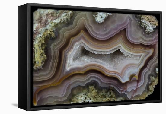 Banded Agate, Sammamish, Washington-Darrell Gulin-Framed Premier Image Canvas