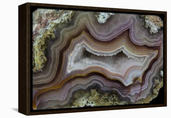 Banded Agate, Sammamish, Washington-Darrell Gulin-Framed Premier Image Canvas